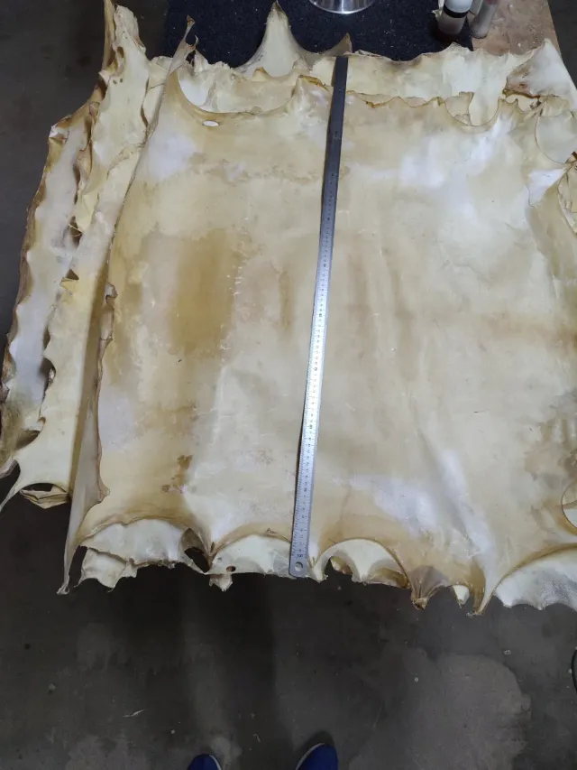 Piel de pergamino natural