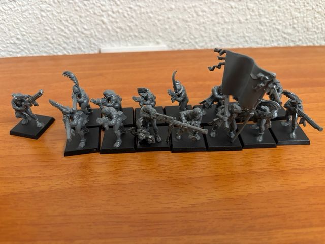 15 Arcabuceros Warhammer Imperio
