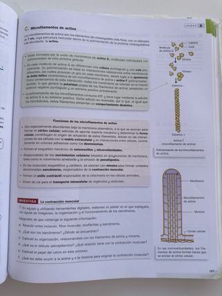 Biología. 2 Bachillerato