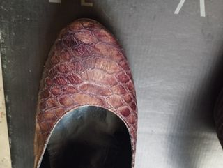 Zapatos Mujer Gino Vaello Talla 41