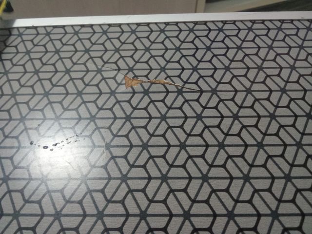 Mesa portátil camping