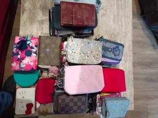 Carteras y monederos varios   distintos precios