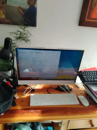 HP All-in-One Ordenador