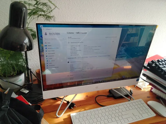 HP All-in-One Ordenador