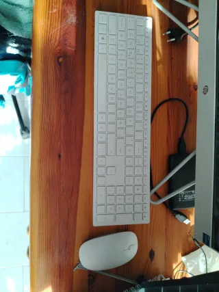 HP All-in-One Ordenador