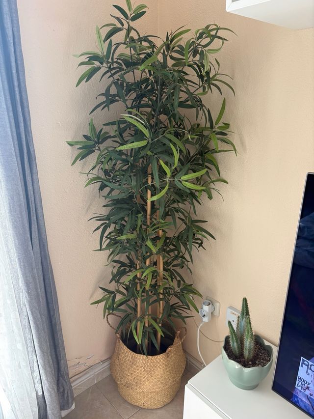 Planta Artificial Bambú Ikea