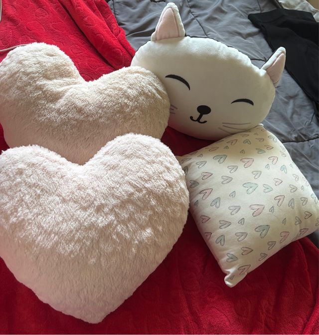 Set 4 Cojines Corazón y Gato tamaño mediano