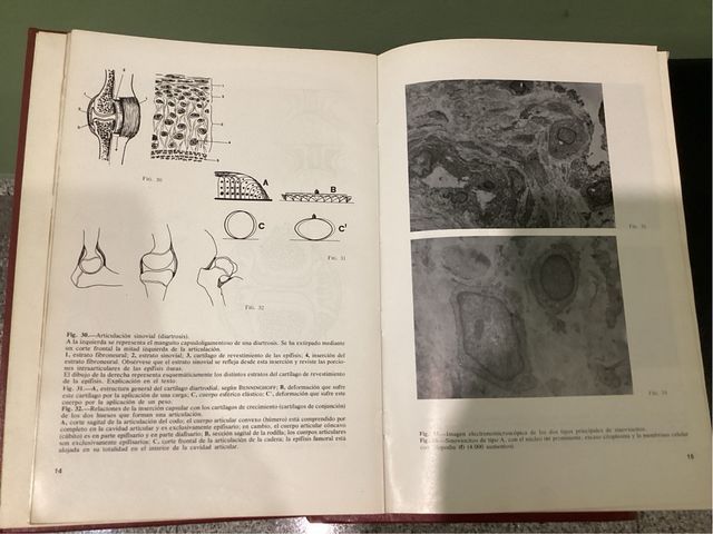 Anatomía Funcional del Aparato Locomotor. 2 tomos