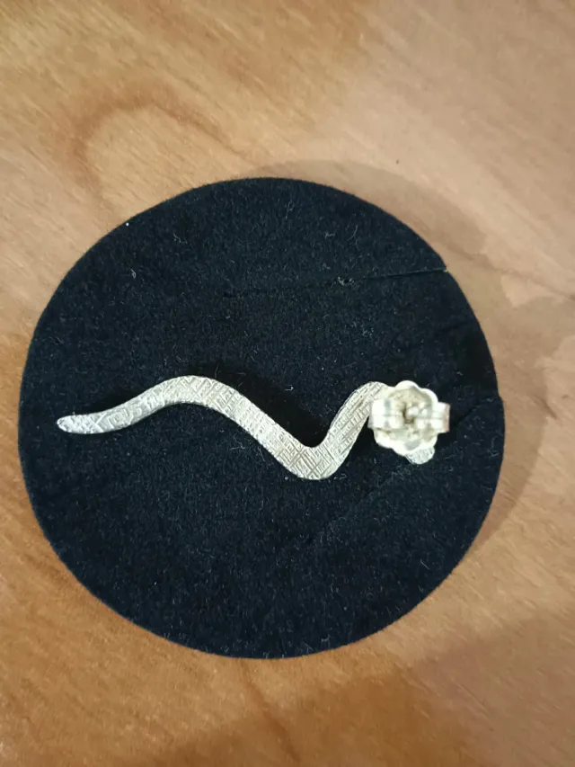 Pendientes TOUS Plata