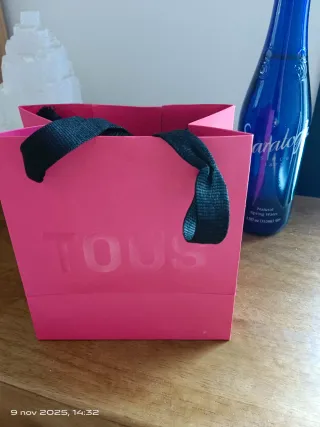 Pendientes TOUS Plata