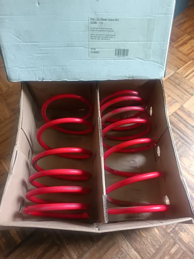 Muelles Deportivos Xsara Rojos
