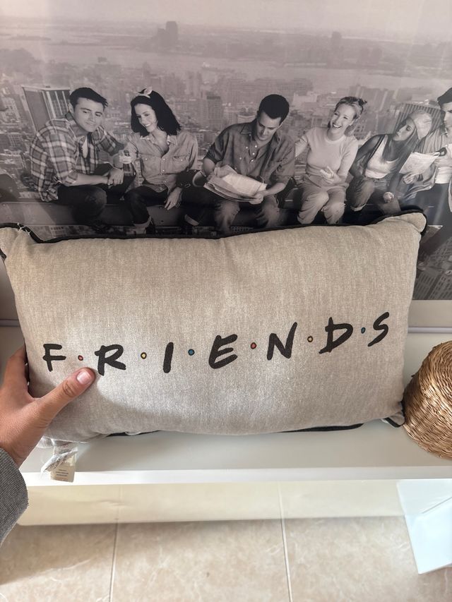 Cojín Friends