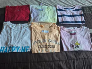 Lote 6 Camisetas Manga Corta