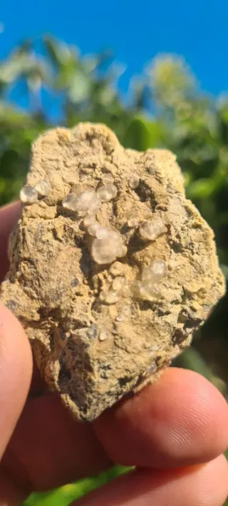 Minerali Rara Melanoflogite Fortullino Rosignano