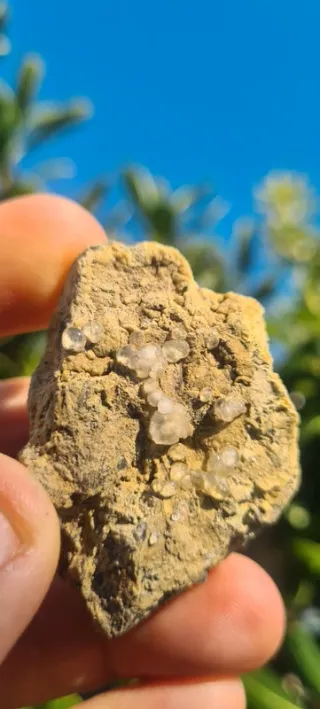 Minerali Rara Melanoflogite Fortullino Rosignano