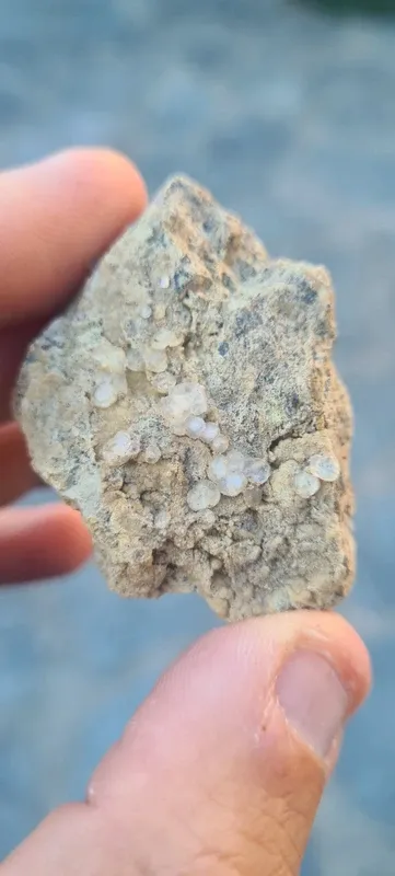 Minerali Rara Melanoflogite Fortullino Rosignano