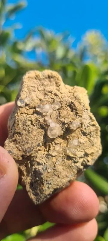 Minerali Rara Melanoflogite Fortullino Rosignano