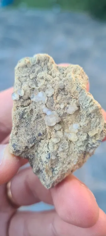 Minerali Rara Melanoflogite Fortullino Rosignano