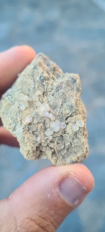 Minerali Rara Melanoflogite Fortullino Rosignano