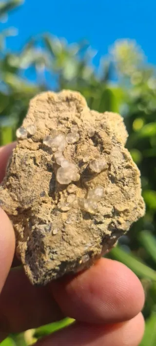 Minerali Rara Melanoflogite Fortullino Rosignano