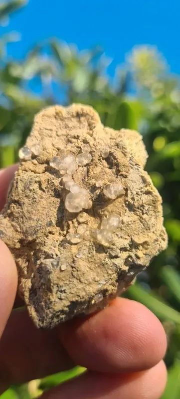 Minerali Rara Melanoflogite Fortullino Rosignano