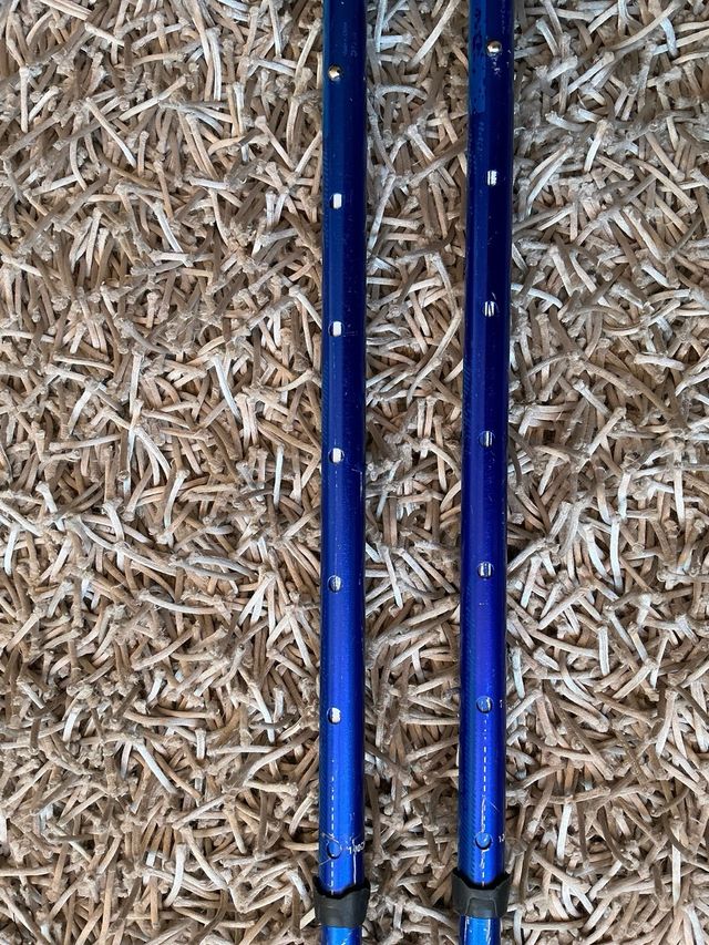 Palos de esquí extensibles