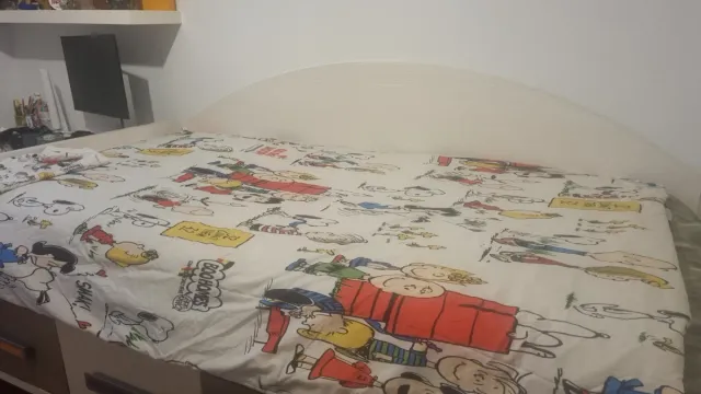 Funda Nórdica Snoopy