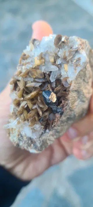 Minerali Sfalerite con siderite Miniera del Bottin