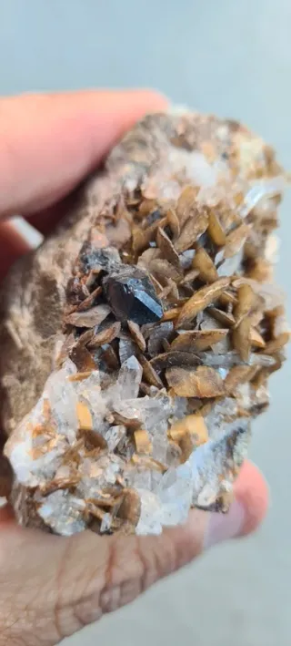 Minerali Sfalerite con siderite Miniera del Bottin