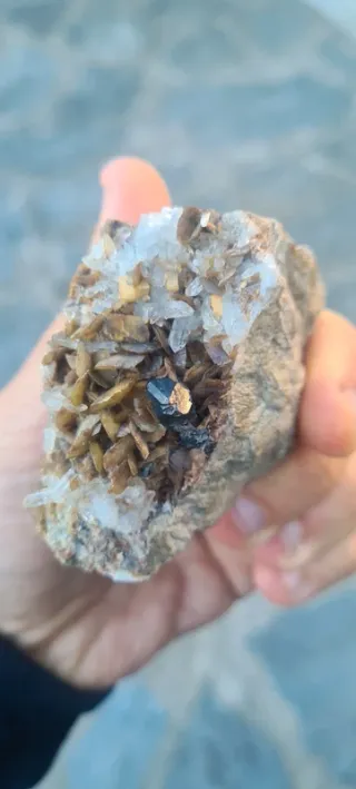 Minerali Sfalerite con siderite Miniera del Bottin
