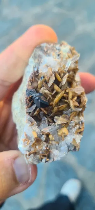 Minerali Sfalerite con siderite Miniera del Bottin