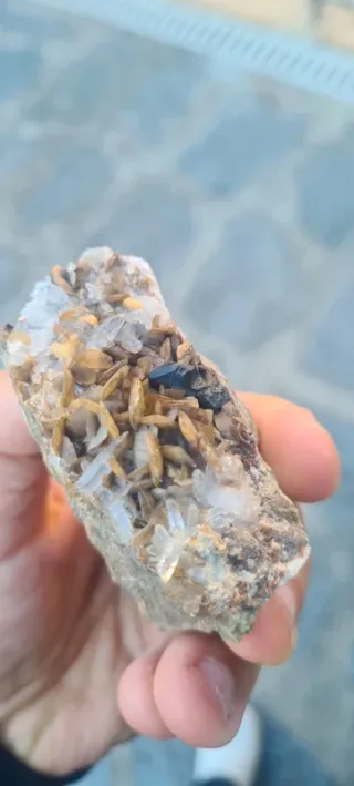 Minerali Sfalerite con siderite Miniera del Bottin