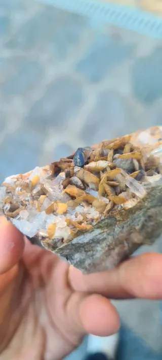 Minerali Sfalerite con siderite Miniera del Bottin