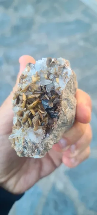 Minerali Sfalerite con siderite Miniera del Bottin