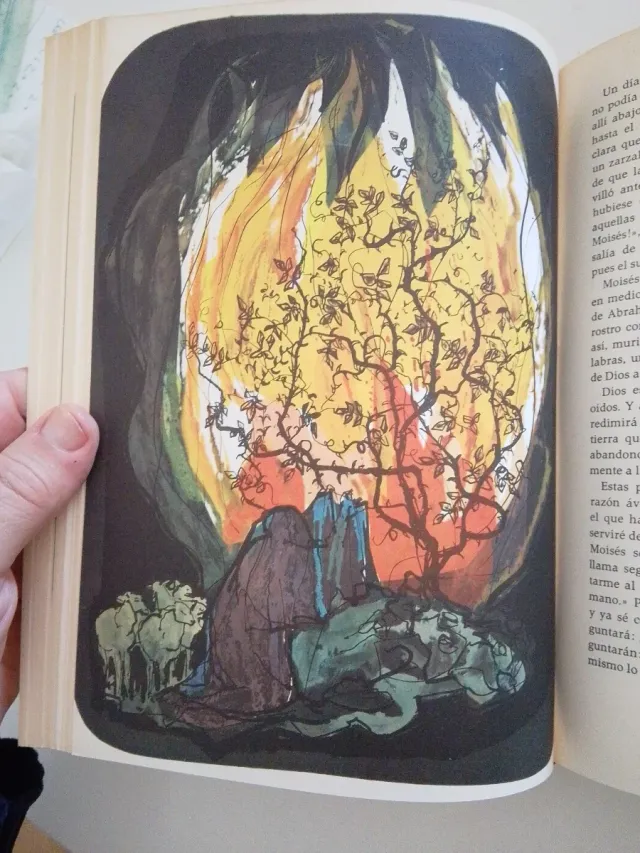 La historia de la Biblia. Stefan Andres