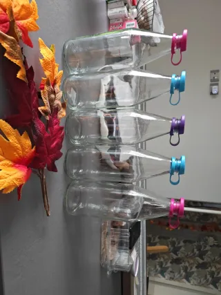 Set 5 Bottiglie Vetro 1L