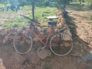 Bicicleta Vintage Roja para Restaurar