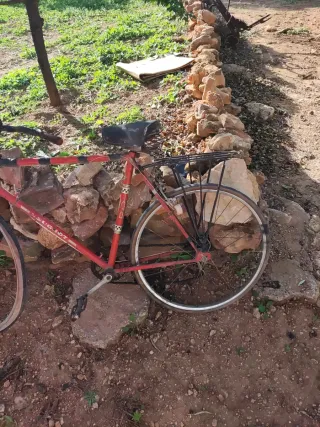 Bicicleta Vintage Roja para Restaurar