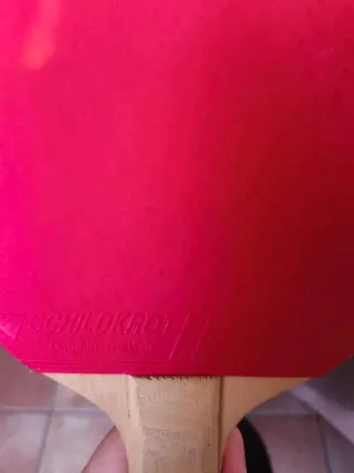 2 Racchette Ping Pong Schildkröt Winner