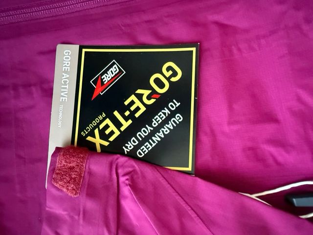 Chaqueta Adidas Gore-Tex Morada