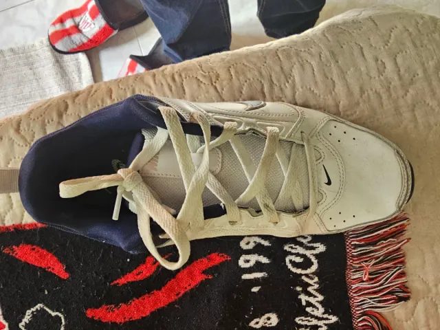 Nike Defyallday Talla 42.5 Azul/Blanco