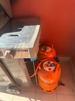 Barbacoa Weber Genesis 2 + Accessori