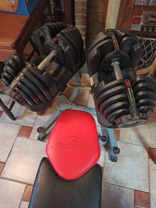 Mancuernas y banco ajustables Bowflex