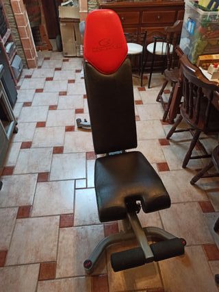 Mancuernas y banco ajustables Bowflex