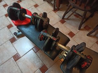 Mancuernas y banco ajustables Bowflex