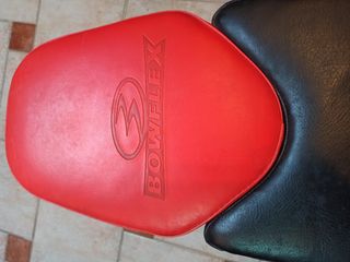 Mancuernas y banco ajustables Bowflex