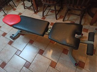 Mancuernas y banco ajustables Bowflex