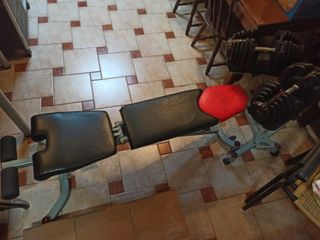 Mancuernas y banco ajustables Bowflex
