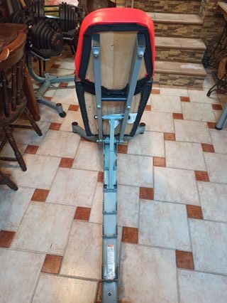 Mancuernas y banco ajustables Bowflex