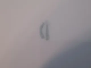 6 Platos Postre Limoges Porcelana Flores Rosas